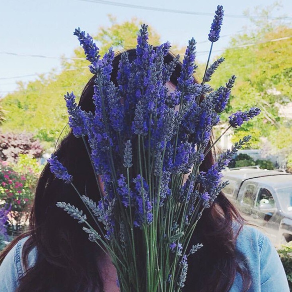 Meet your Posher, Aria - Picture 1 of 1